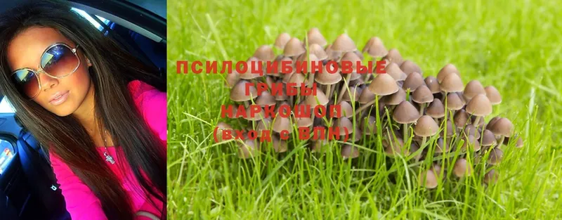 ОМГ ОМГ сайт  Красноярск  Псилоцибиновые грибы MAGIC MUSHROOMS 