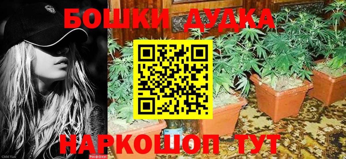 Красноярск  Бошки Шишки Amnesia  Вход с VPN  Канабис индика  Каннабис VHQ 