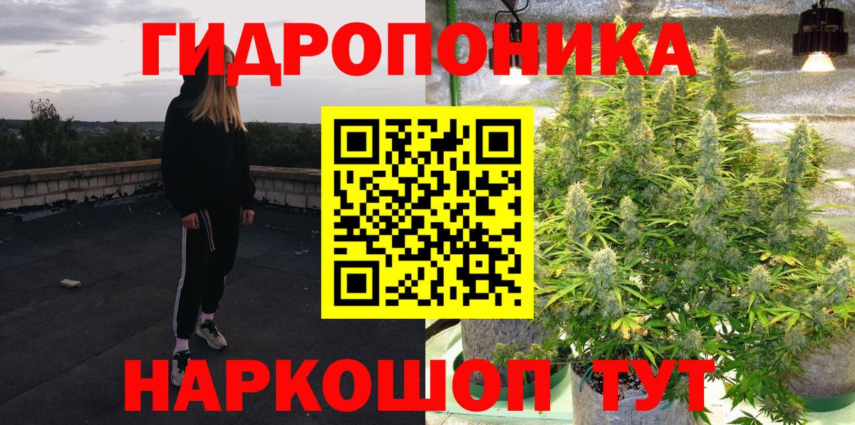 A PVP Красноярск